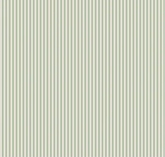 1/8" Stripe On Ivory-Sage C505-SAGE