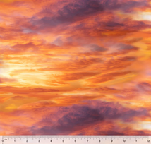 All Florida Shop Hop 2026 - Landscapes 5 O'Clock Somewhere 52119D-X