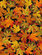 Allover Metallic Autumn Leaves HARVEST-CM1289-BLACK