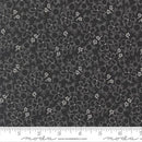 Arabesque-Wonder Midnight 33835-17