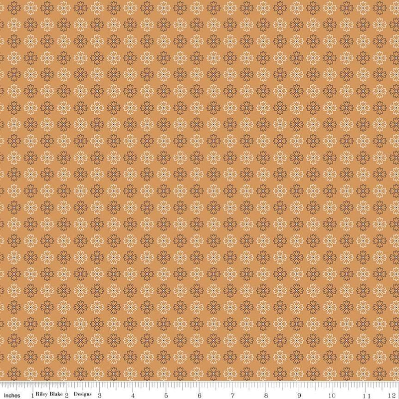 Autumn-Kerchief Cider C14668-CIDER