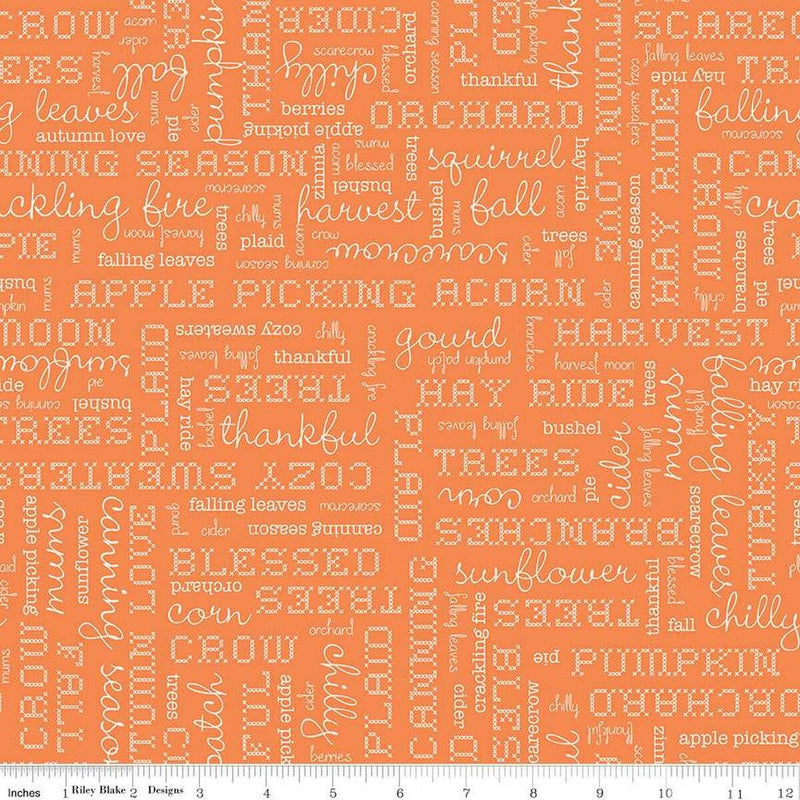 Autumn-Words Pumpkin C14667-PUMPKIN