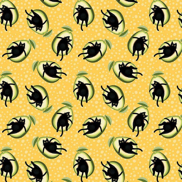 Avocatos STELLA-DLW3326-MIMOSA