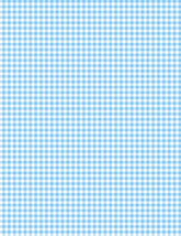 Classics-Mini Gingham White/Baby Blue 1817-39161-141