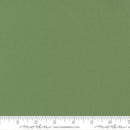 Bella Solids-Prairie Green 9900-102