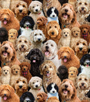 Best Friends-Mixed Breeds Multi 742-MULTI