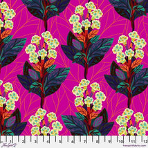 Bloomology-Hydrangeas Magenta PWMF038.MAGENTA
