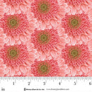 Bloomscape-Pink 2441-22