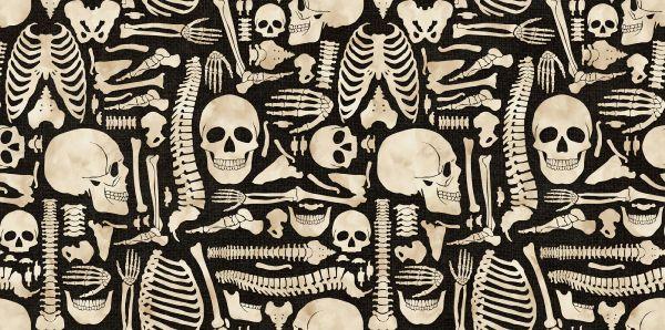 Boney Yard 737931100715