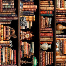 Book Club-Bookshelf Border Stripe Multi 32254-X