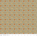 Bountiful-Pumpkin Plaid Sage C17862-SAGE