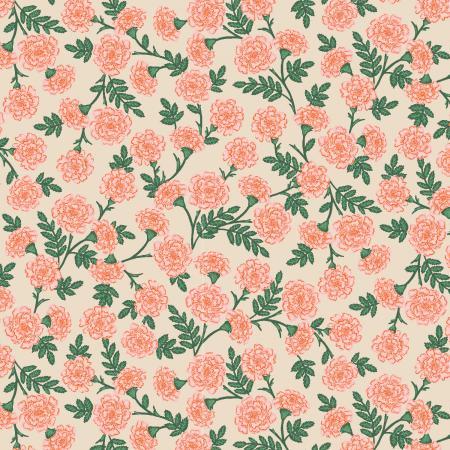 Bramble-Dianthus Blush RP904-BU4