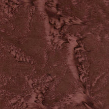 Breathtaking Browns-Bronze BRONZE