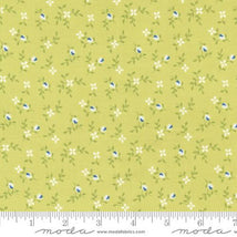 Cali Co-Light Lime 29192-38