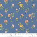 Cannon Beach-Lake 11974-18