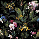 Canvas & Co-Moody Blooms Black 55077DC-1