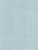Canvas Texture-Powder Blue 3023-39851-404