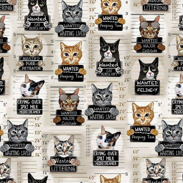 Cat Mugshots-Beige GAIL-CD3061-BEIGE