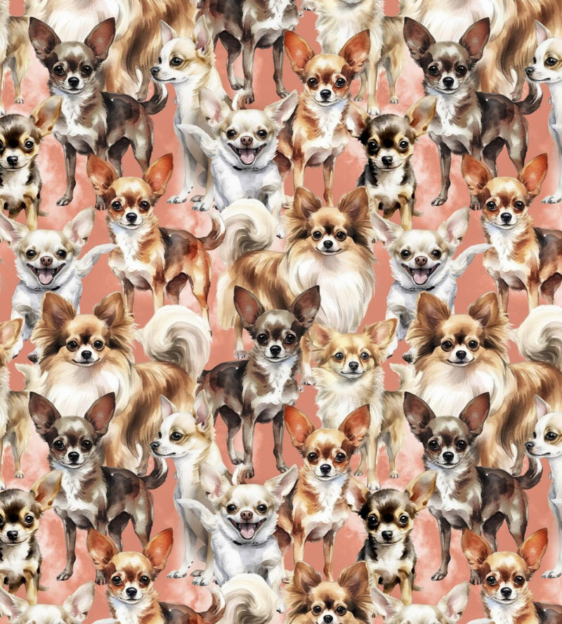 Chihuahua 3-Peach DX-4819-3C
