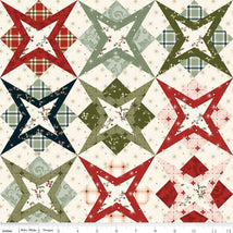 Christmas Greetings-Cheater Print Multi C17668-MULTI