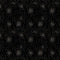 Clusters-Black Hole Metallic CS107-BH14M