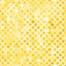 Codici-Sunshine W165-001-225