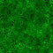 Coloressence - Blooming Vine Grass 2600-31095-G