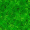 Coloressence - Blooming Vine Kelly Green 2600-31095-GH