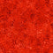 Coloressence - Blooming Vine Tomato 2600-31095-RO