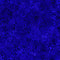 Coloressence - Blooming Vine Violet Blue 2600-31095-VY