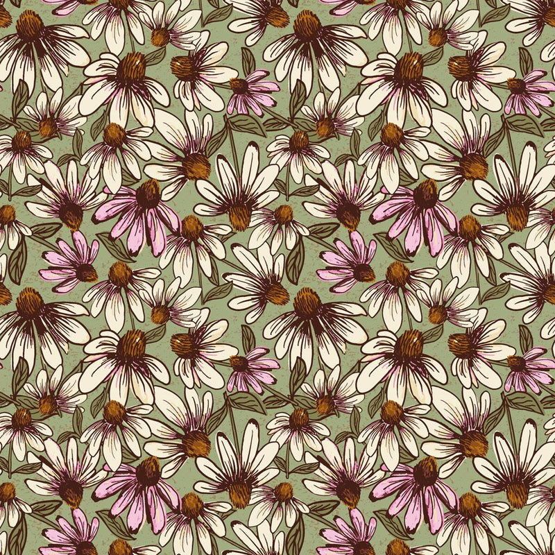 Coneflower Corral-Echinacea Olive Y4558-24