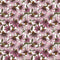 Coneflower Corral-Echinacea White Y4558-1