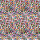 Confetti Fun-Multicolour Sprinkles 21250402-01