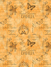 Dahlia Botanica 1665-33927-889