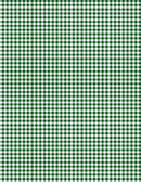Classics-Mini Gingham White/Dark Green 1817-39161-177