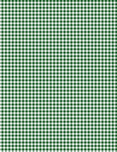 Classics-Mini Gingham White/Dark Green 1817-39161-177
