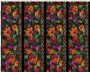 Dear Clara-Black Border 1DCL-1