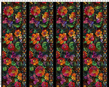Dear Clara-Black Border 1DCL-1