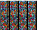 Dear Clara-Blue Border 1DCL-2