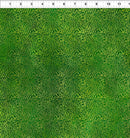 Dear Clara-Green Vines 13DCL-1