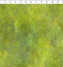 Dear Clara-Lime Enchant 12DCL-1