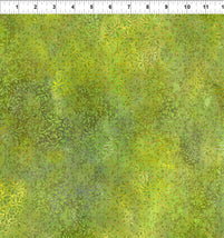 Dear Clara-Lime Enchant 12DCL-1