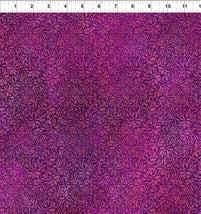 Dear Clara-Magenta Enchant 12DCL-2