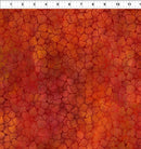 Dear Clara-Orange Bloom 10DCL-1