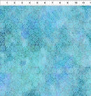 Dear Clara-Sky Field 11DCL-2