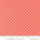 Delightfully Yours-Carnation 37703-15