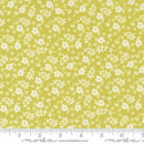 Delightfully Yours-Chartreuse 37701-14