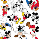 Disney-Mickey Through The Years 68057-A620210