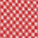 Dots & Stripes-Dot Com Amaryllis 2961-016