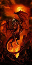 Dragon Fire-24" Panel PANEL-CD3940-FIRE